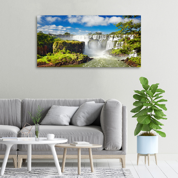 Schilderij op canvas Argentijnse waterval