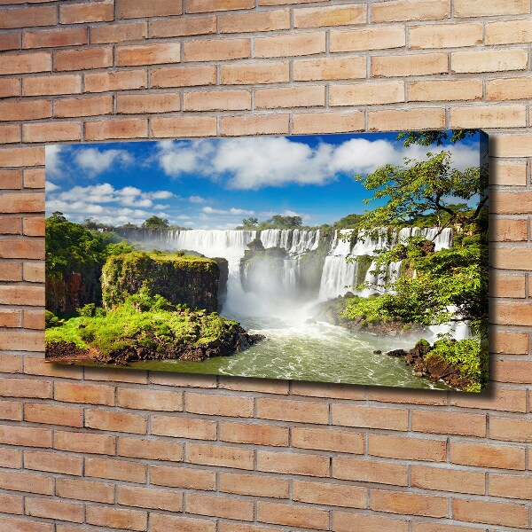 Schilderij op canvas Argentijnse waterval