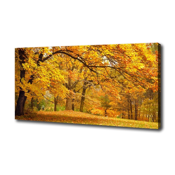 Foto canvas De herfst in het park