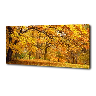 Foto canvas De herfst in het park