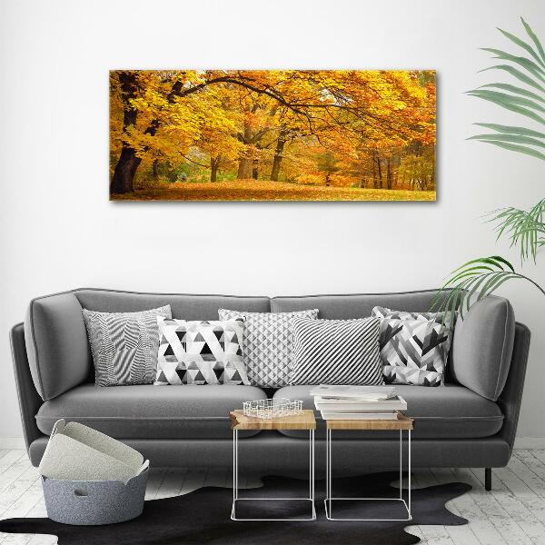 Foto canvas De herfst in het park