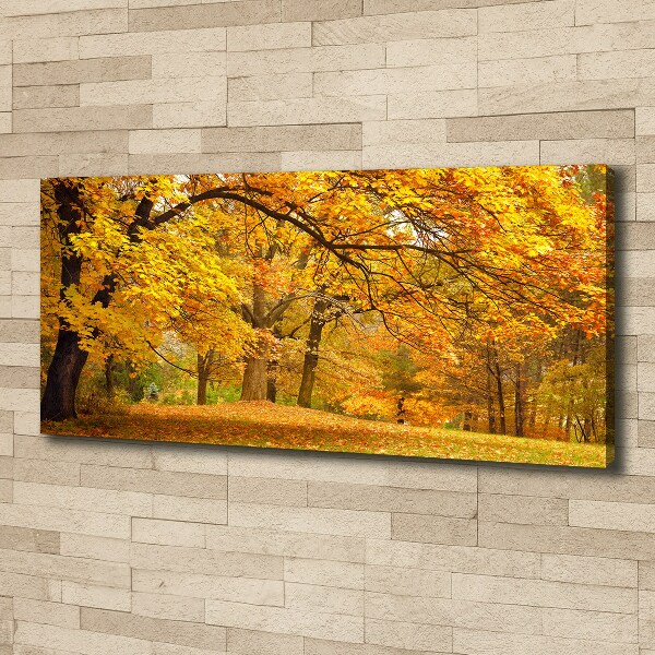 Foto canvas De herfst in het park