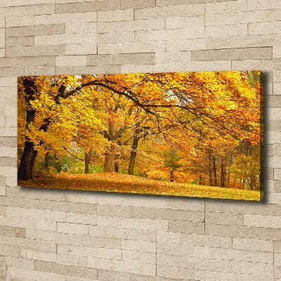 Foto canvas De herfst in het park