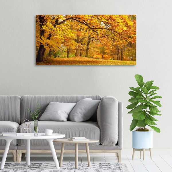 Foto canvas De herfst in het park