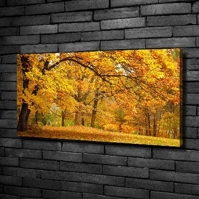 Foto canvas De herfst in het park