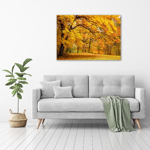 Foto canvas De herfst in het park