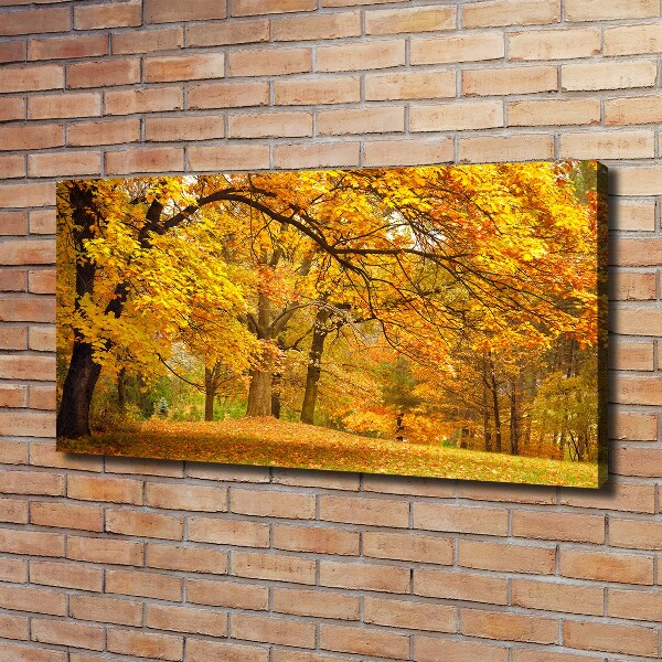 Foto canvas De herfst in het park