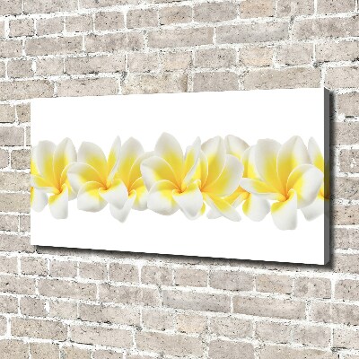 Foto obraz canvas Plumeria