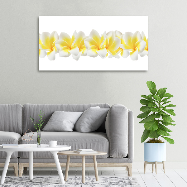 Foto obraz canvas Plumeria
