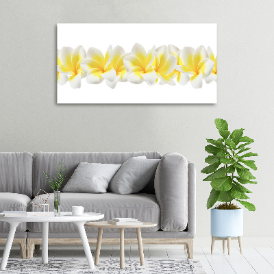 Foto obraz canvas Plumeria