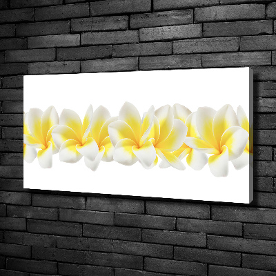 Foto obraz canvas Plumeria