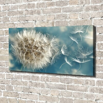 Foto op canvas Paardenbloemen