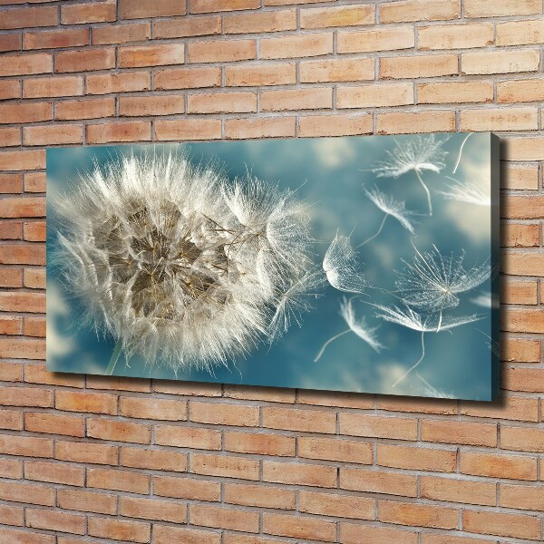 Foto op canvas Paardenbloemen