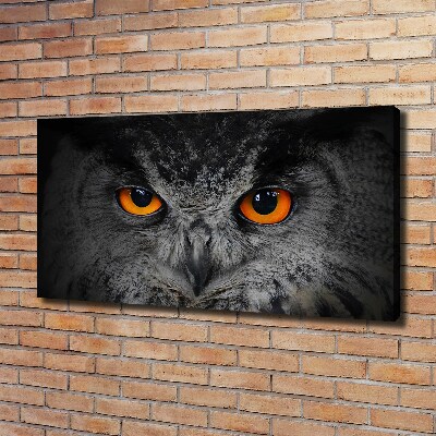 Foto obraz canvas Diabelskie oczy sowy