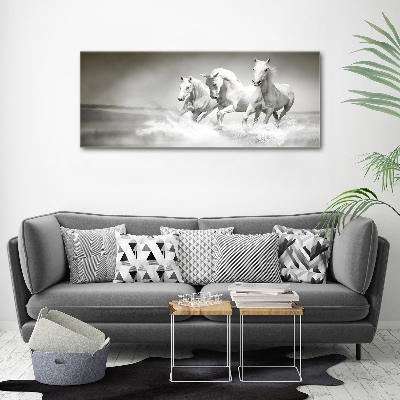Foto op canvas Witte paarden