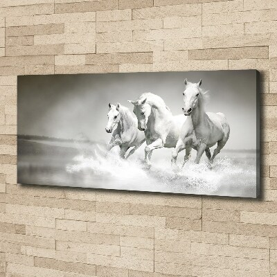 Foto op canvas Witte paarden
