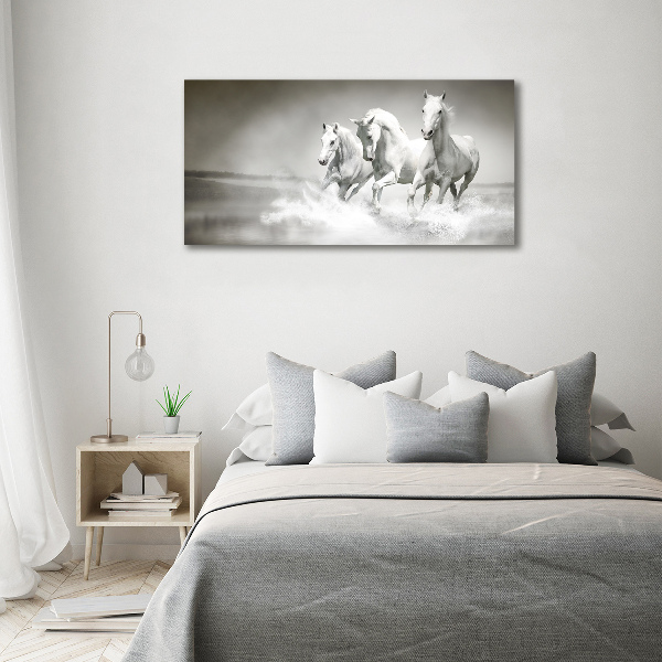 Foto op canvas Witte paarden