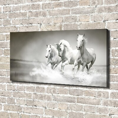 Foto op canvas Witte paarden