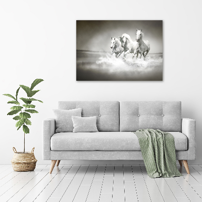 Foto op canvas Witte paarden