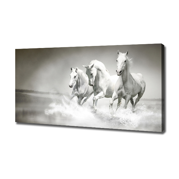 Foto op canvas Witte paarden