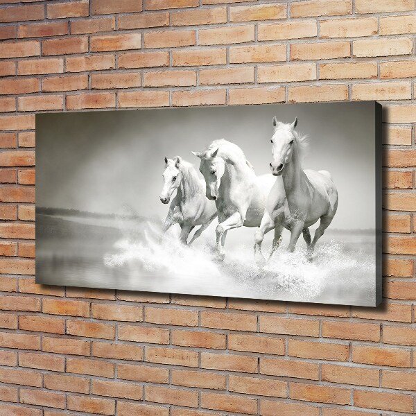 Foto op canvas Witte paarden