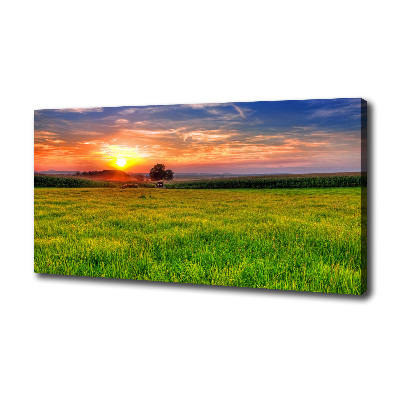 Foto op canvas Zonsondergangweide