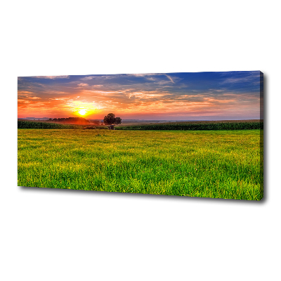 Foto op canvas Zonsondergangweide