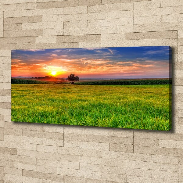 Foto op canvas Zonsondergangweide