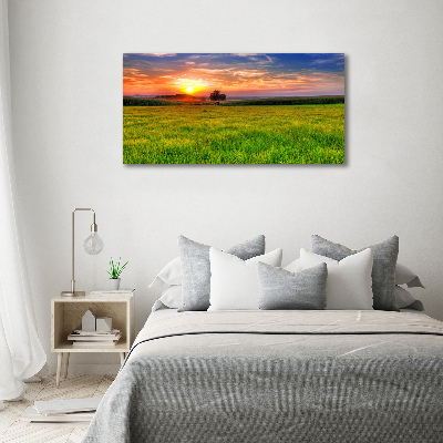 Foto op canvas Zonsondergangweide