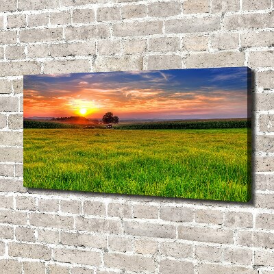 Foto op canvas Zonsondergangweide
