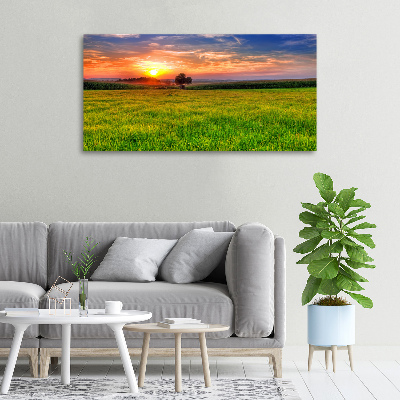 Foto op canvas Zonsondergangweide