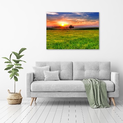Foto op canvas Zonsondergangweide