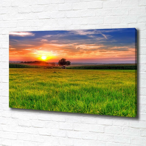 Foto op canvas Zonsondergangweide