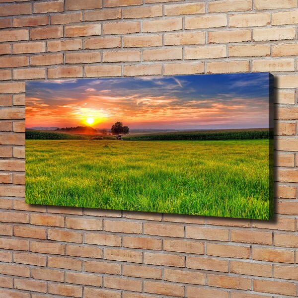 Foto op canvas Zonsondergangweide