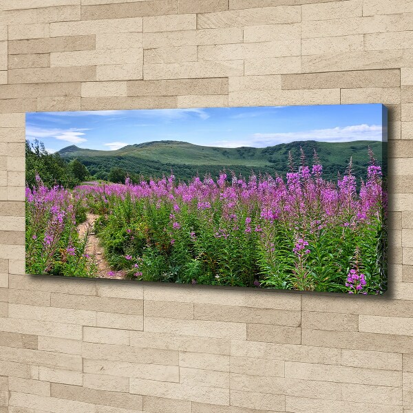 Canvas foto Groene heuvels