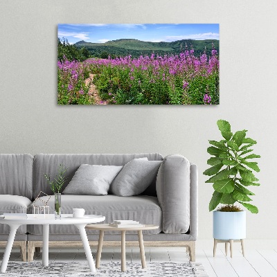 Canvas foto Groene heuvels