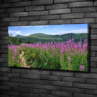Canvas foto Groene heuvels