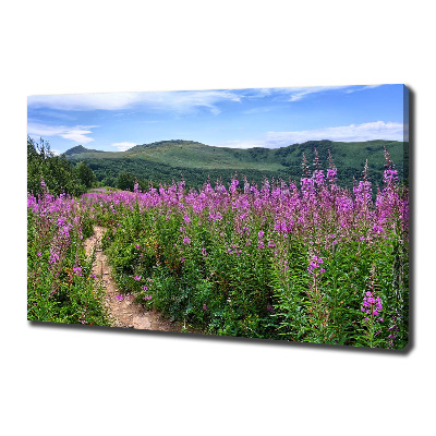 Canvas foto Groene heuvels