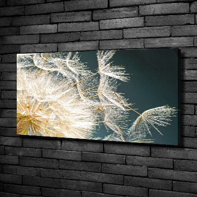 Schilderij op canvas Paardenbloemzaden