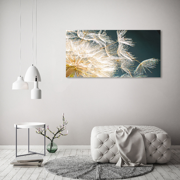 Schilderij op canvas Paardenbloemzaden