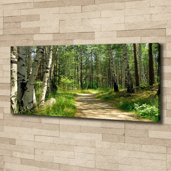 Canvas foto Pad in het bos
