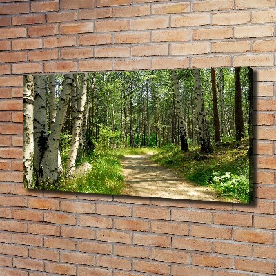 Canvas foto Pad in het bos
