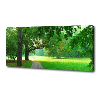 Foto op canvas Park in de herfst