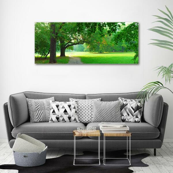 Foto op canvas Park in de herfst