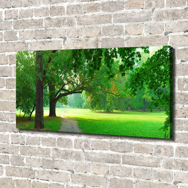 Foto op canvas Park in de herfst