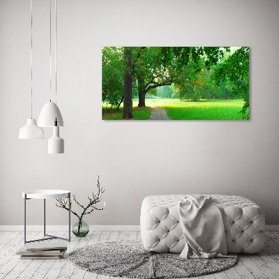 Foto op canvas Park in de herfst