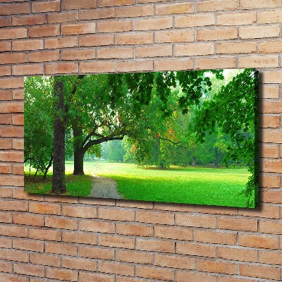 Foto op canvas Park in de herfst