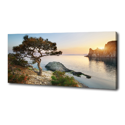 Canvas schilderij Een boom aan zee