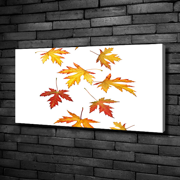 Canvas foto Herfstbladeren