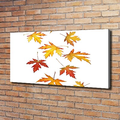 Canvas foto Herfstbladeren